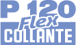 logo_P120